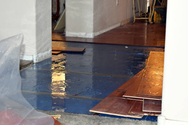 Professional Burst Pipe Cleanup technician working in Dola, OH
